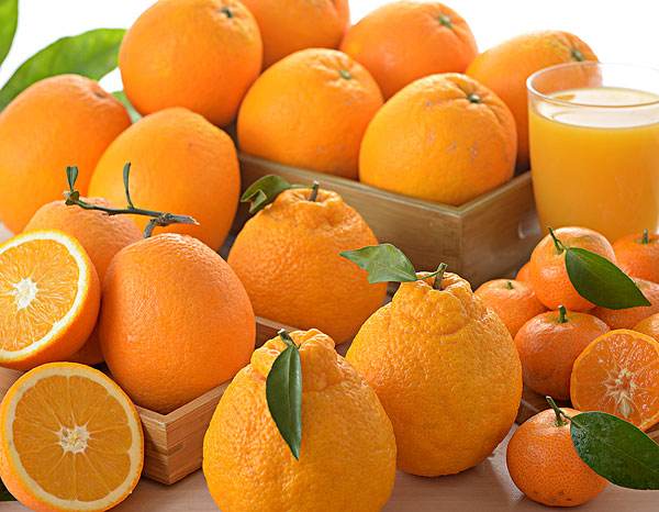 壳寡糖对温岭高橙果实膨大和品质的影响