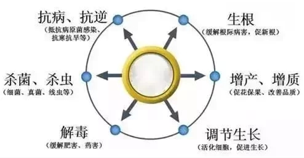 壳寡糖对作物有哪些显著作用和优势？