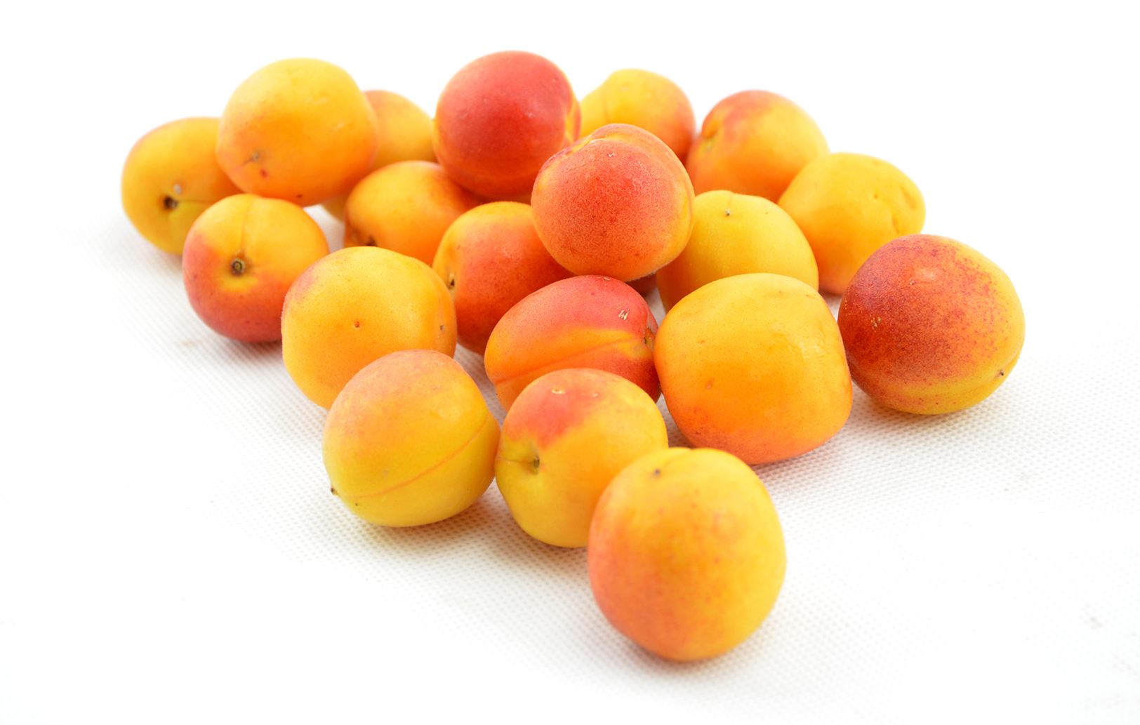 采前壳寡糖处理对杏果实贮藏品质的影响